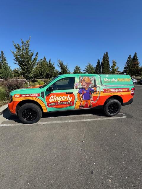 Images Gingerly Pest Control