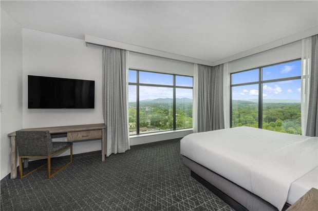Images Embassy Suites by Hilton Asheville Downtown