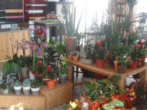 Bild 5 von Blumen Claudia
