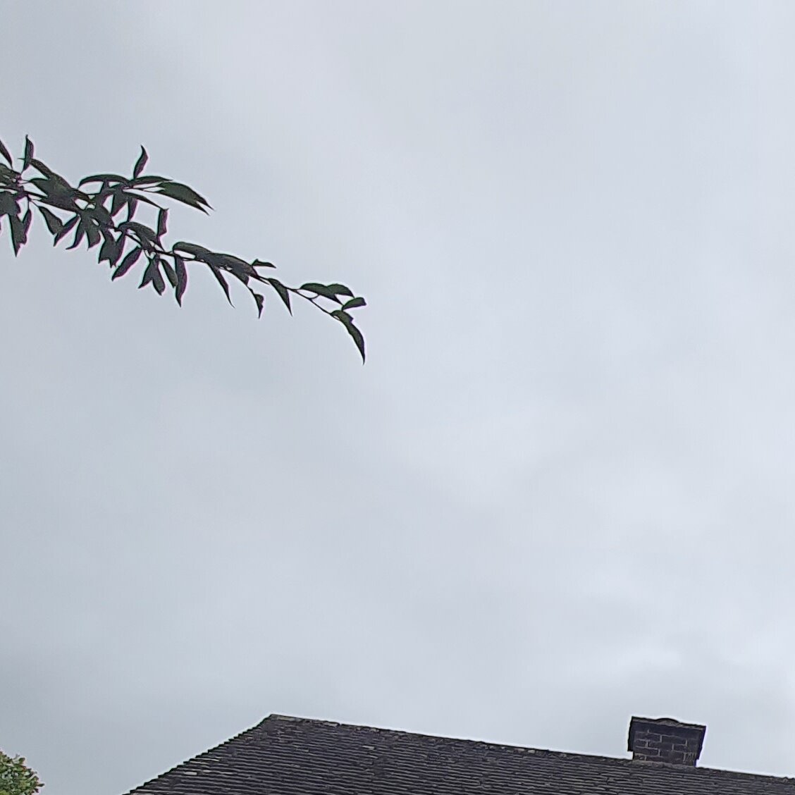 Images MM Roof Cleaning Services (MMRCS)