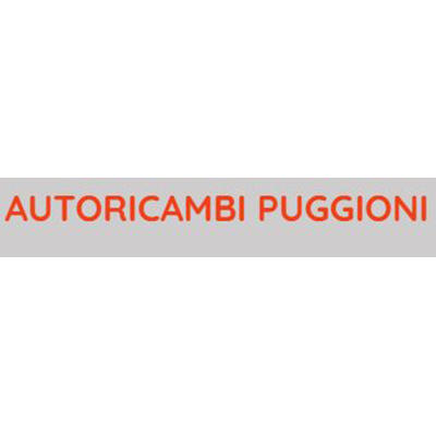 Autoricambi Puggioni Logo