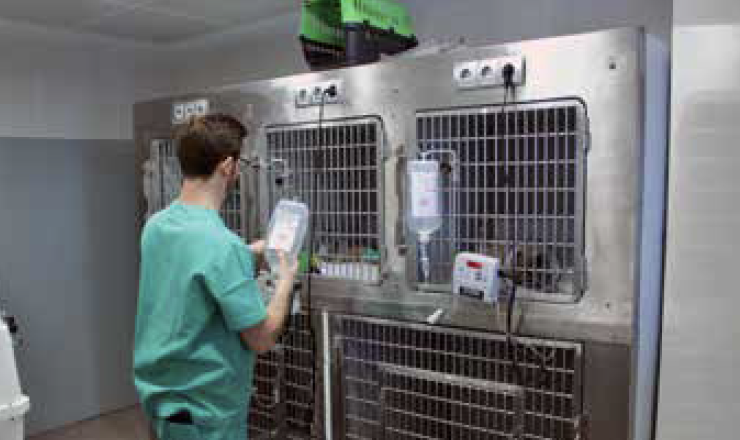 Clínica Veterinaria El Cabo - Hospital veterinario urgencias 24h Alicante.