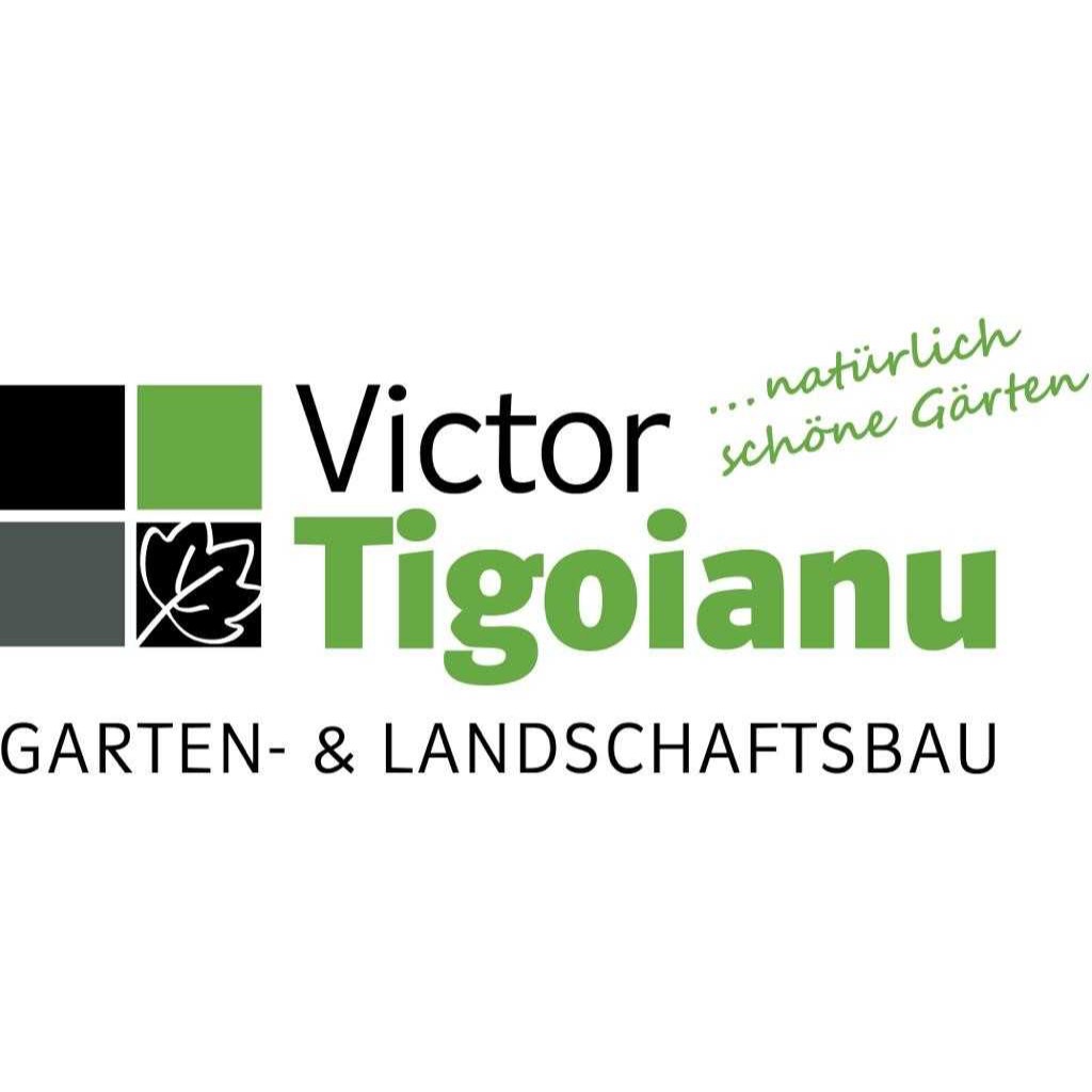 Logo Victor Tigoianu Garten- und Landschaftsbauer