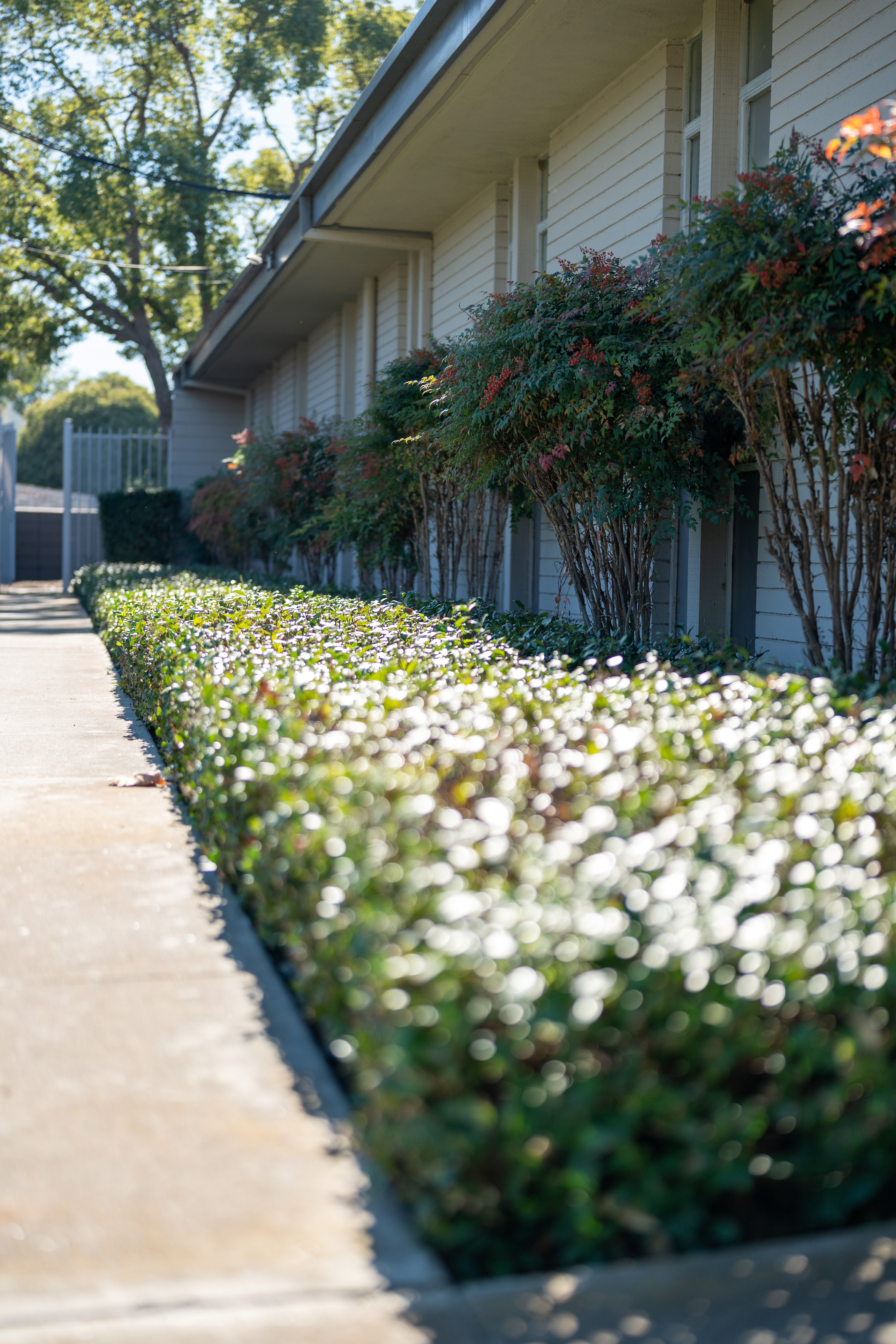 The Church of Jesus Christ of Latter-day Saints Image