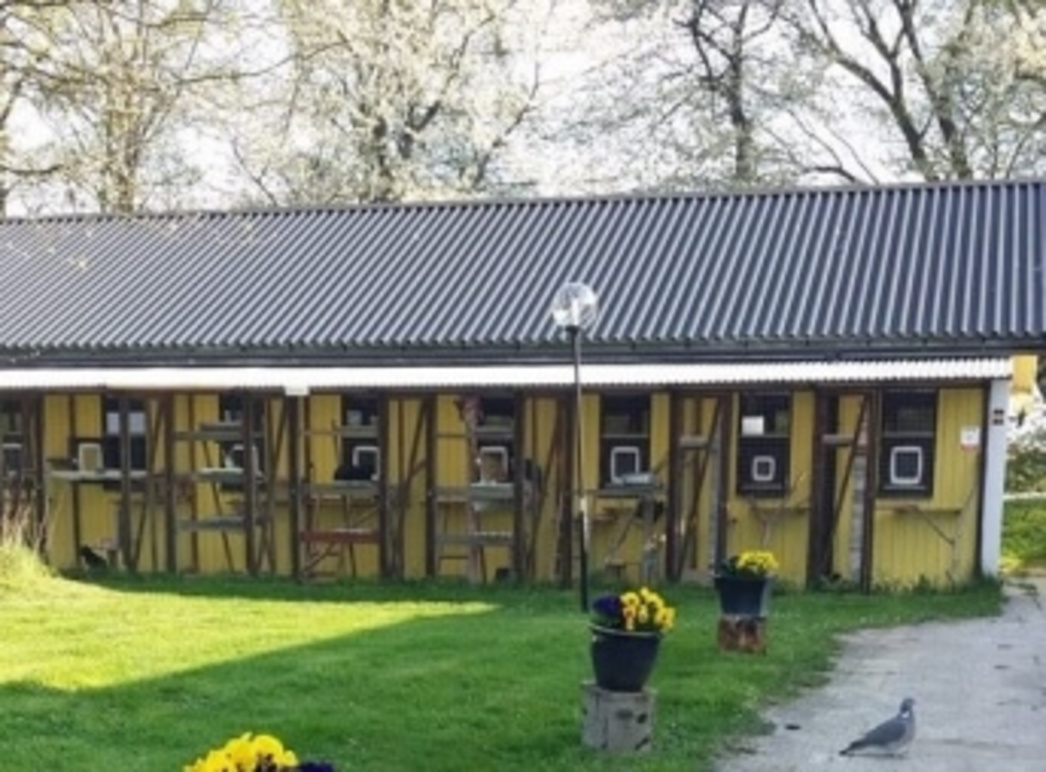 Images Djurhemmet i Aggarp med begravningsplats