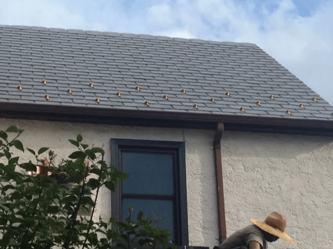 Images Bellerose Roofing & Siding