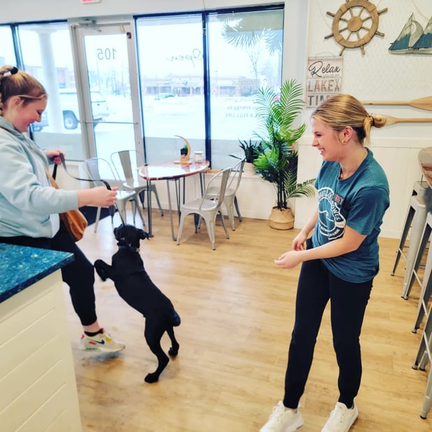 Images Nautical Bowls