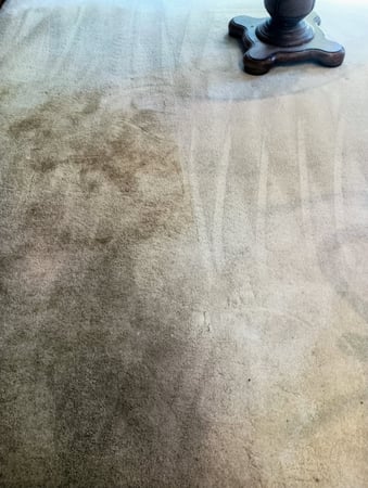 Images All Steamed Up Carpet Cleaning