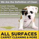 All Surfaces Carpet Cleaning & More Logo