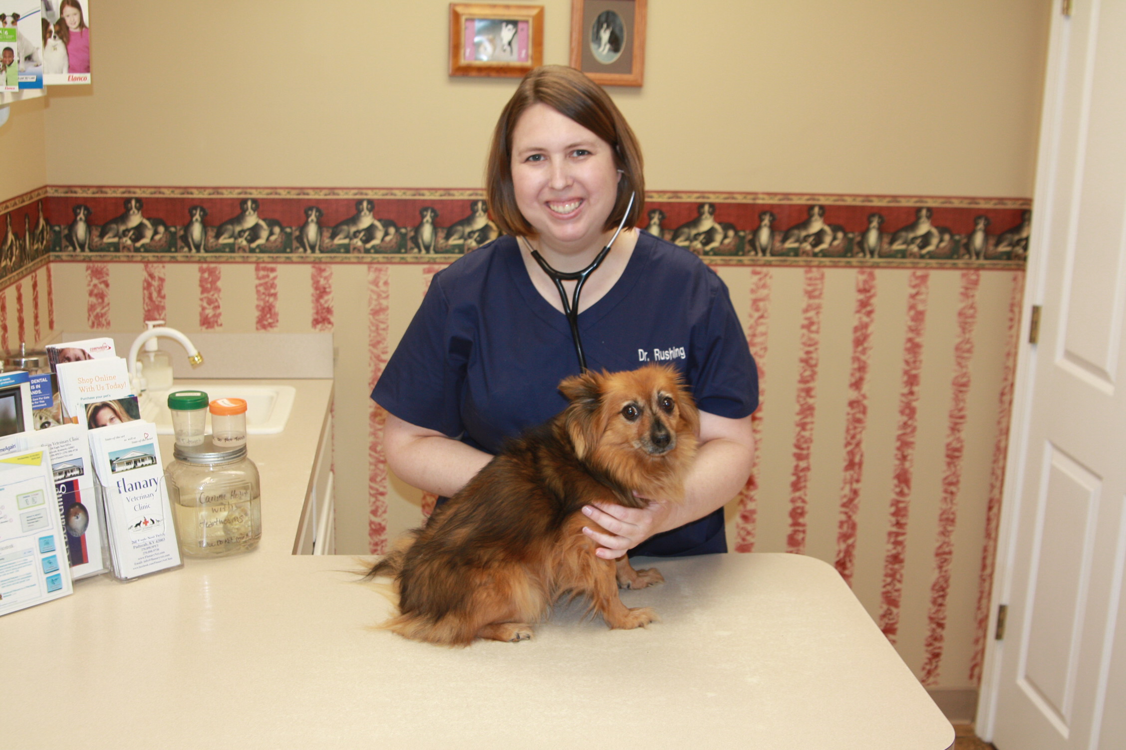 Flanary Veterinary Clinic Coupons near me in Paducah, KY ...