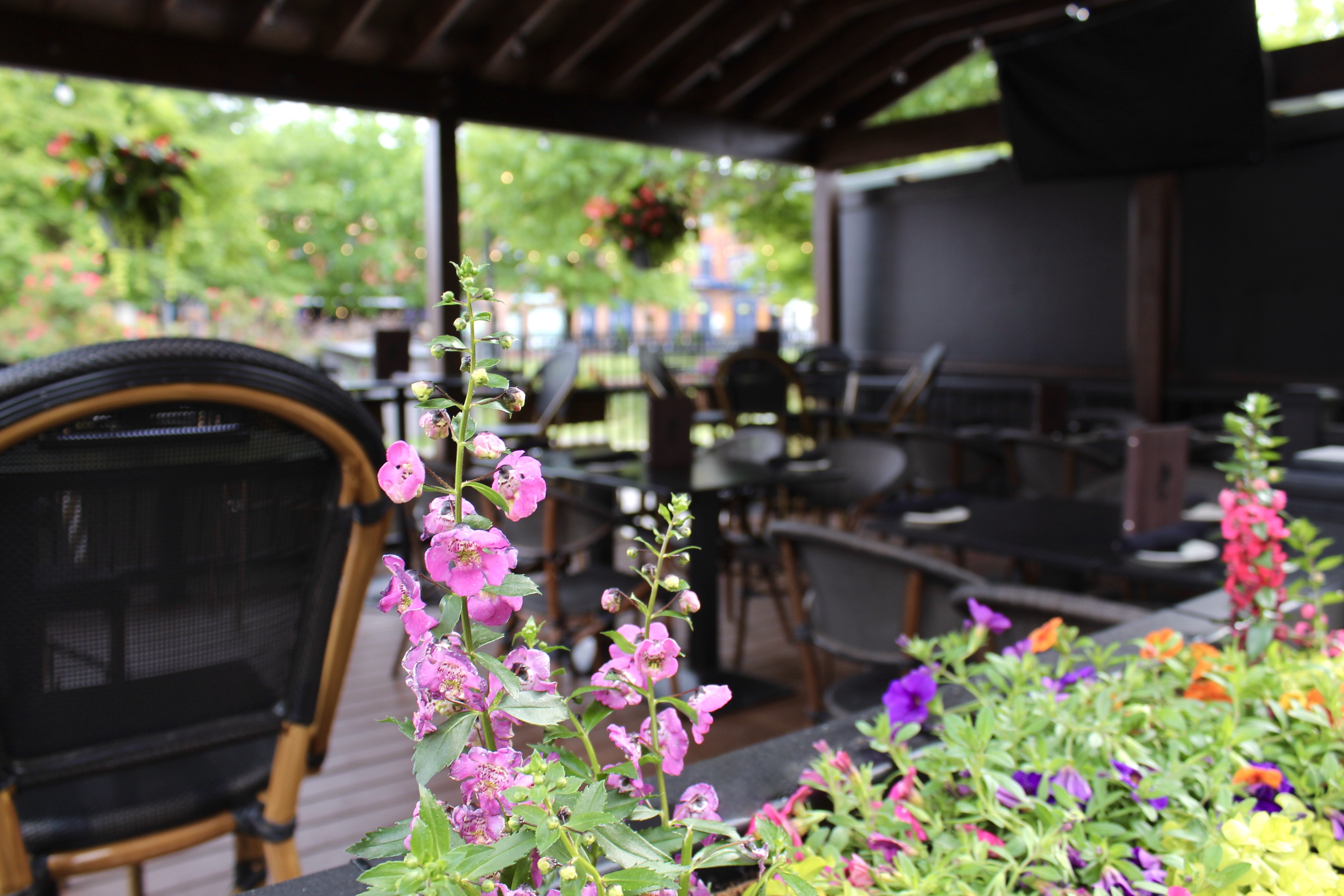 Mama's On The Half Shell Patio outdoor dining area 