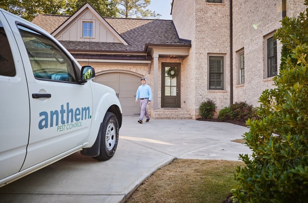 Images Anthem Pest Control