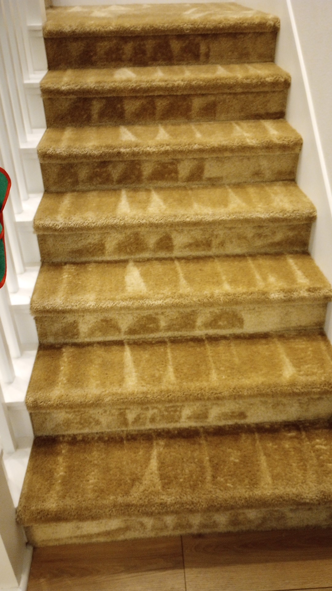 661 Carpet Cleaners-commercial carpet cleaning