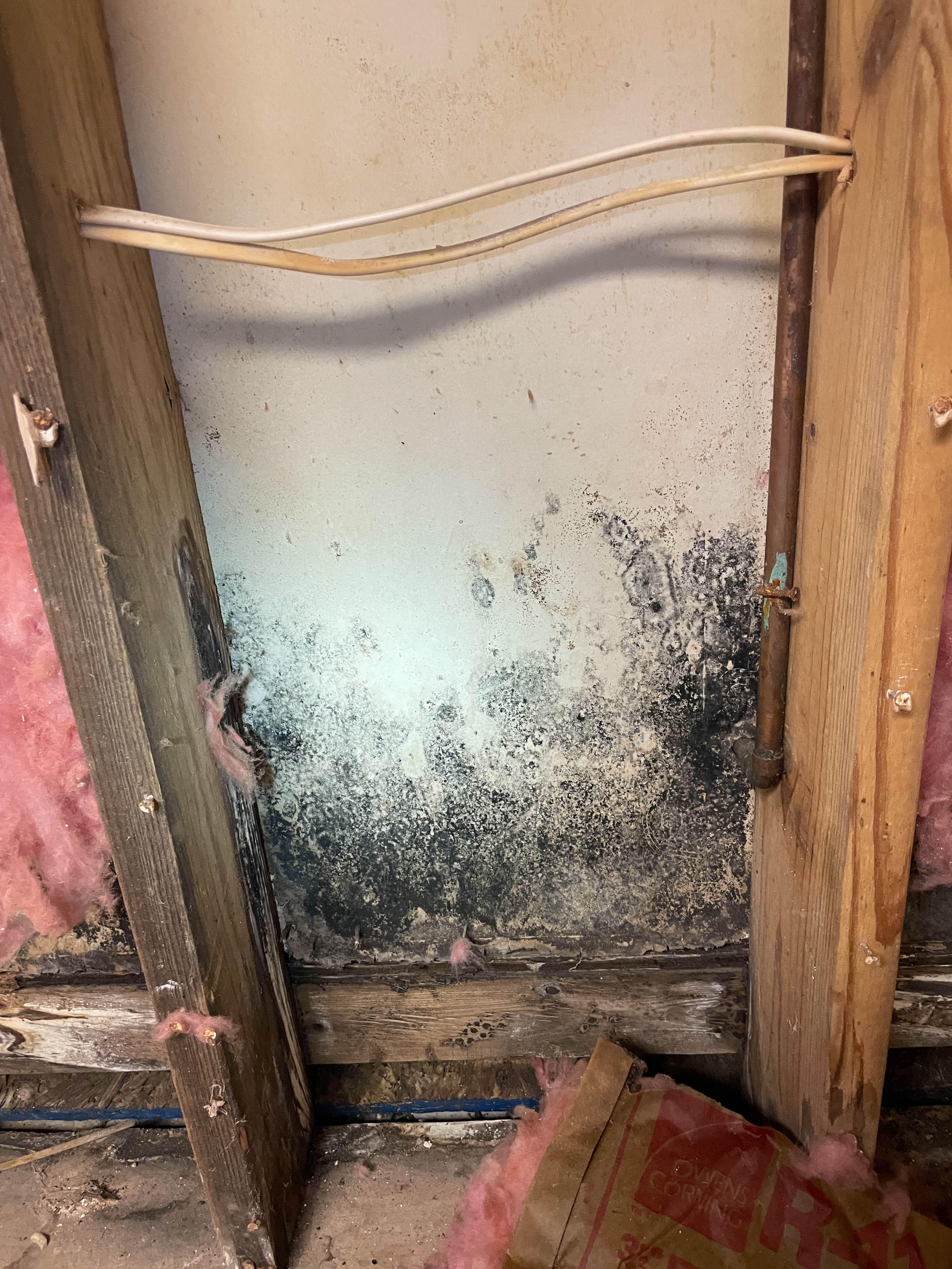 SERVPRO of North Knoxville has mold damage specialists that can swiftly restore your home or business to pre-loss condition. They have the skills and certifications to manage any restoration needs.