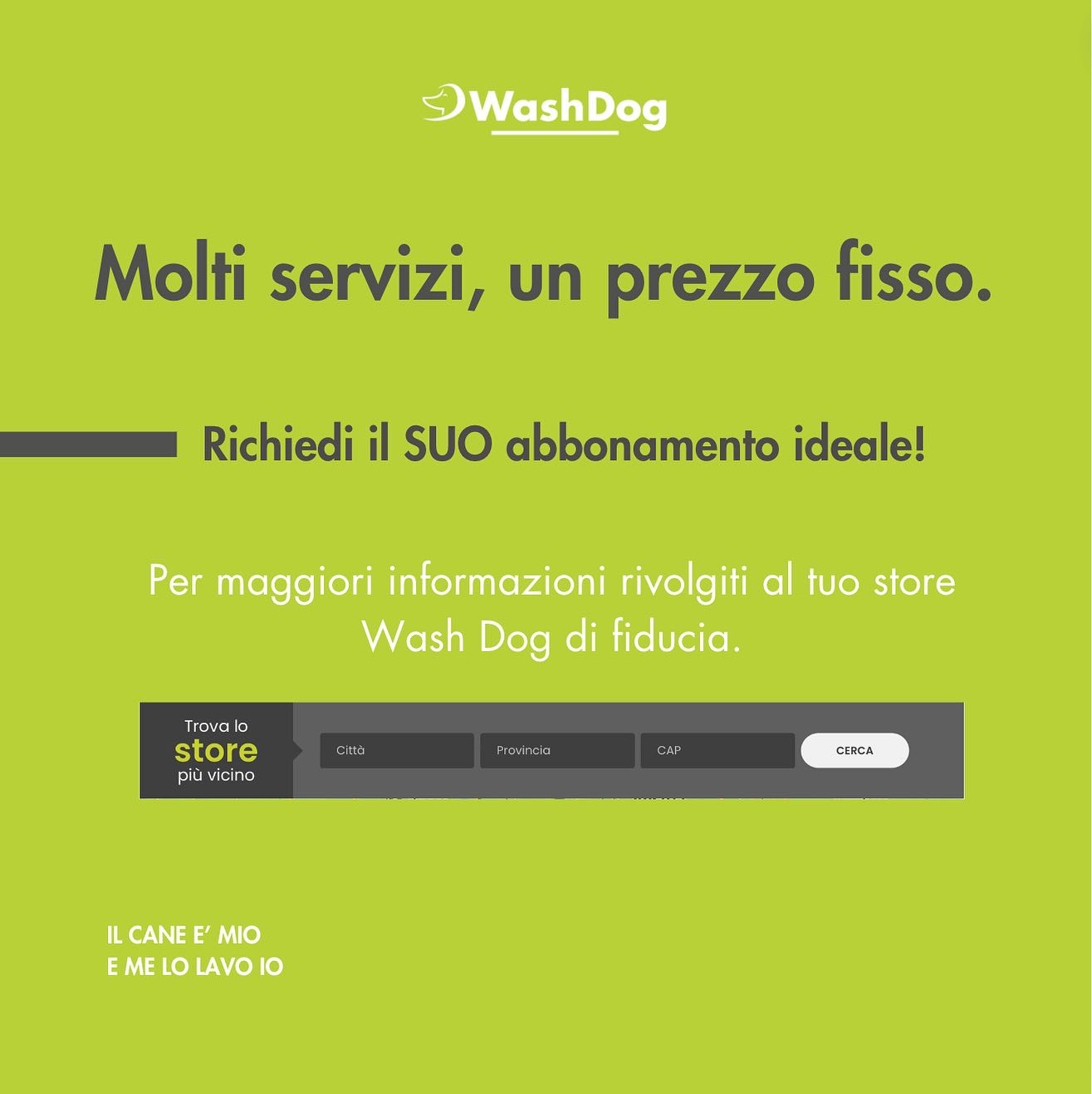 Bilder WashDog Bellinzona
