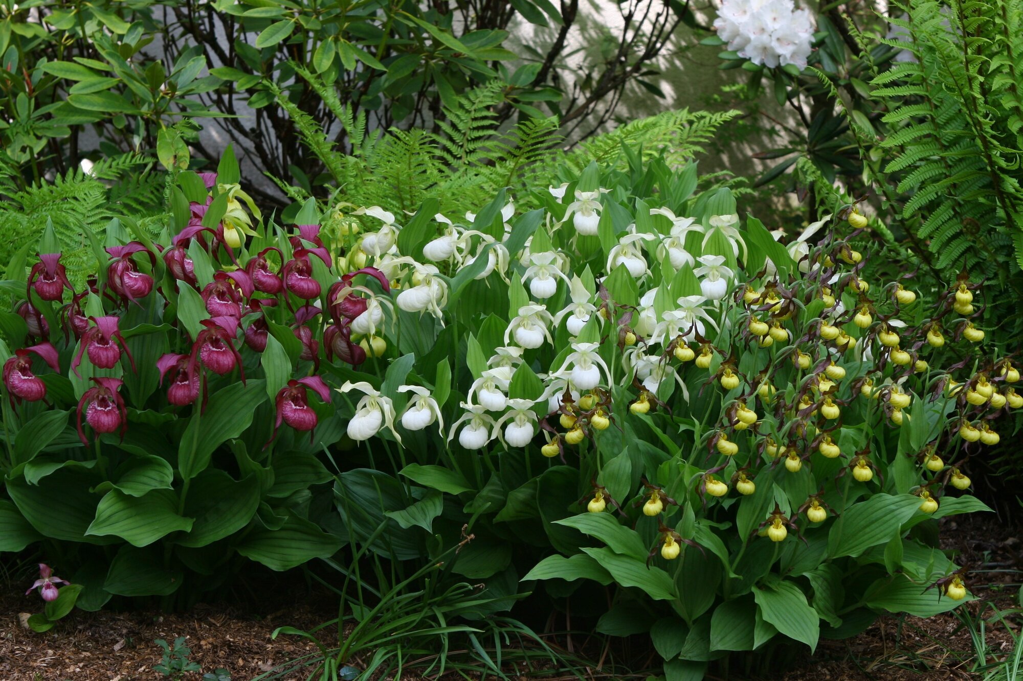 Bilder Gartenwerkstatt Schreiner, Inhaberin Sabine Schreiner