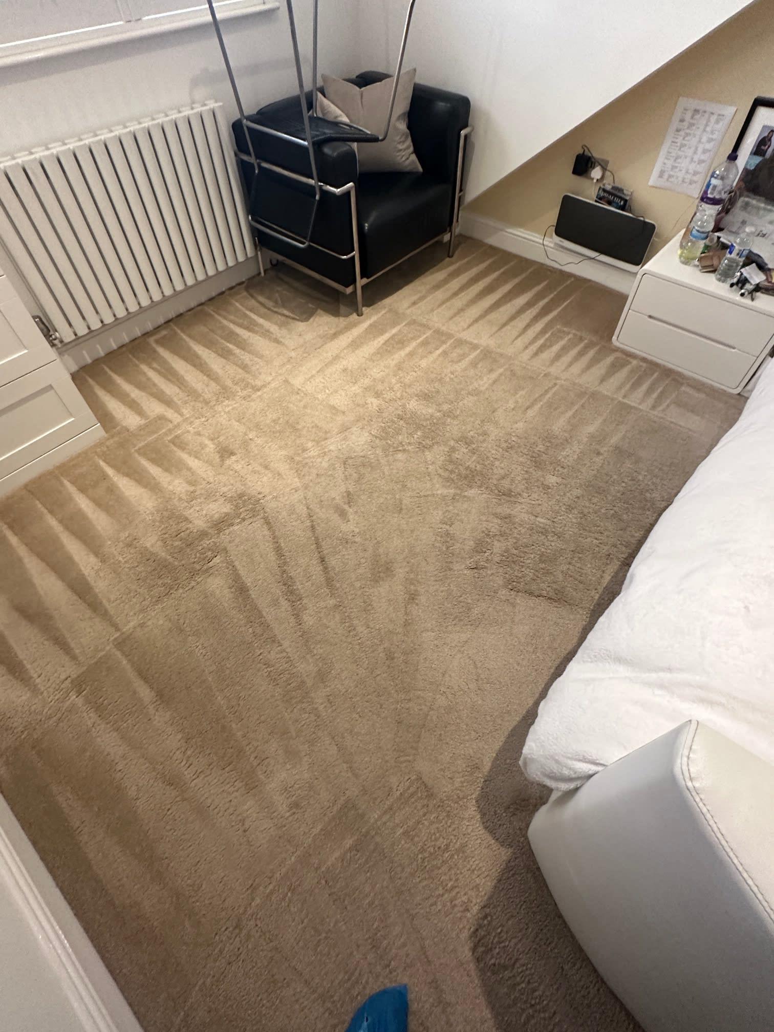 Images Carpet Cleaning Near Me