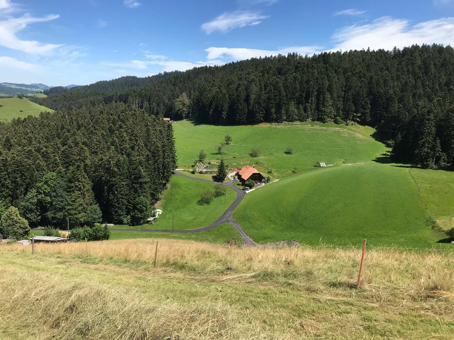 Bilder Waldrand Beizli