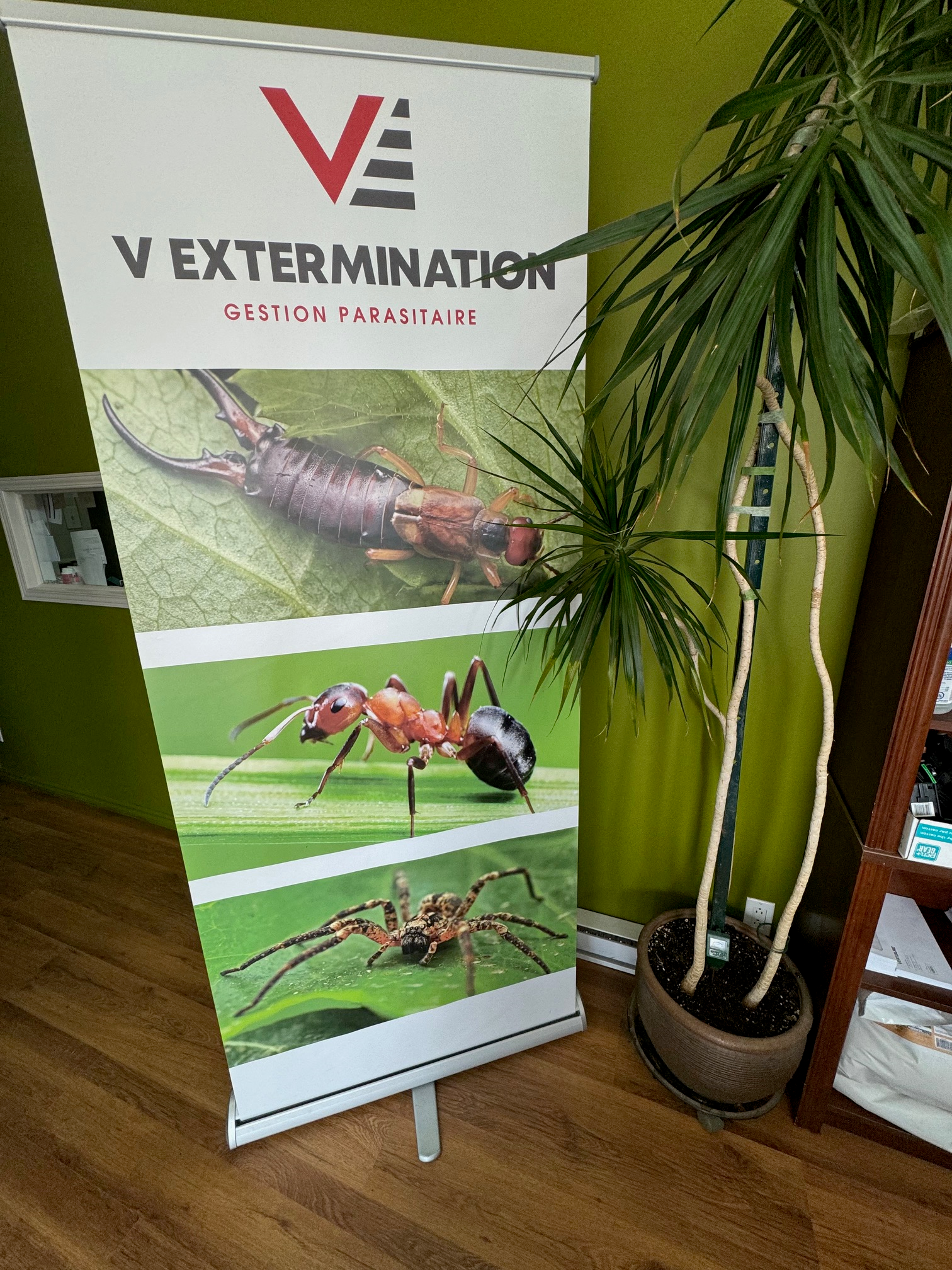 Images VEXT - Exterminateur Alma