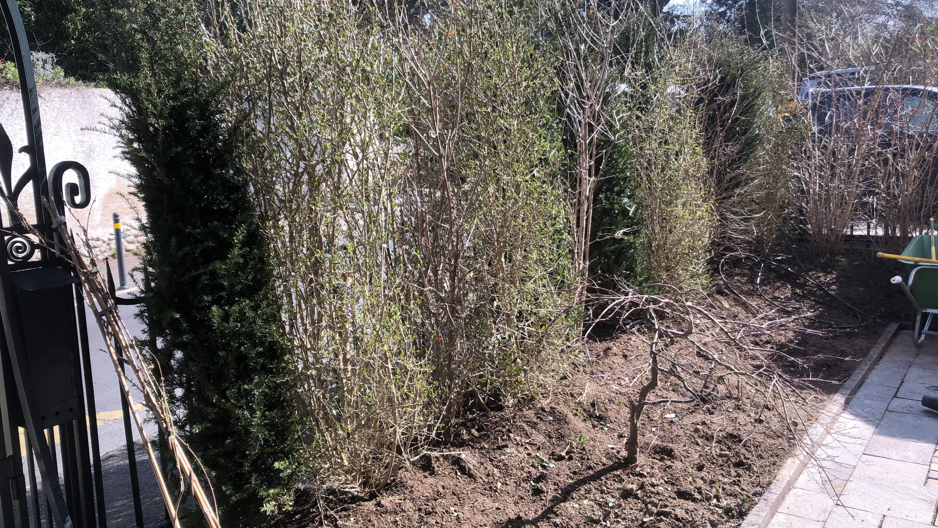 Bilder Royal Jardin sarl