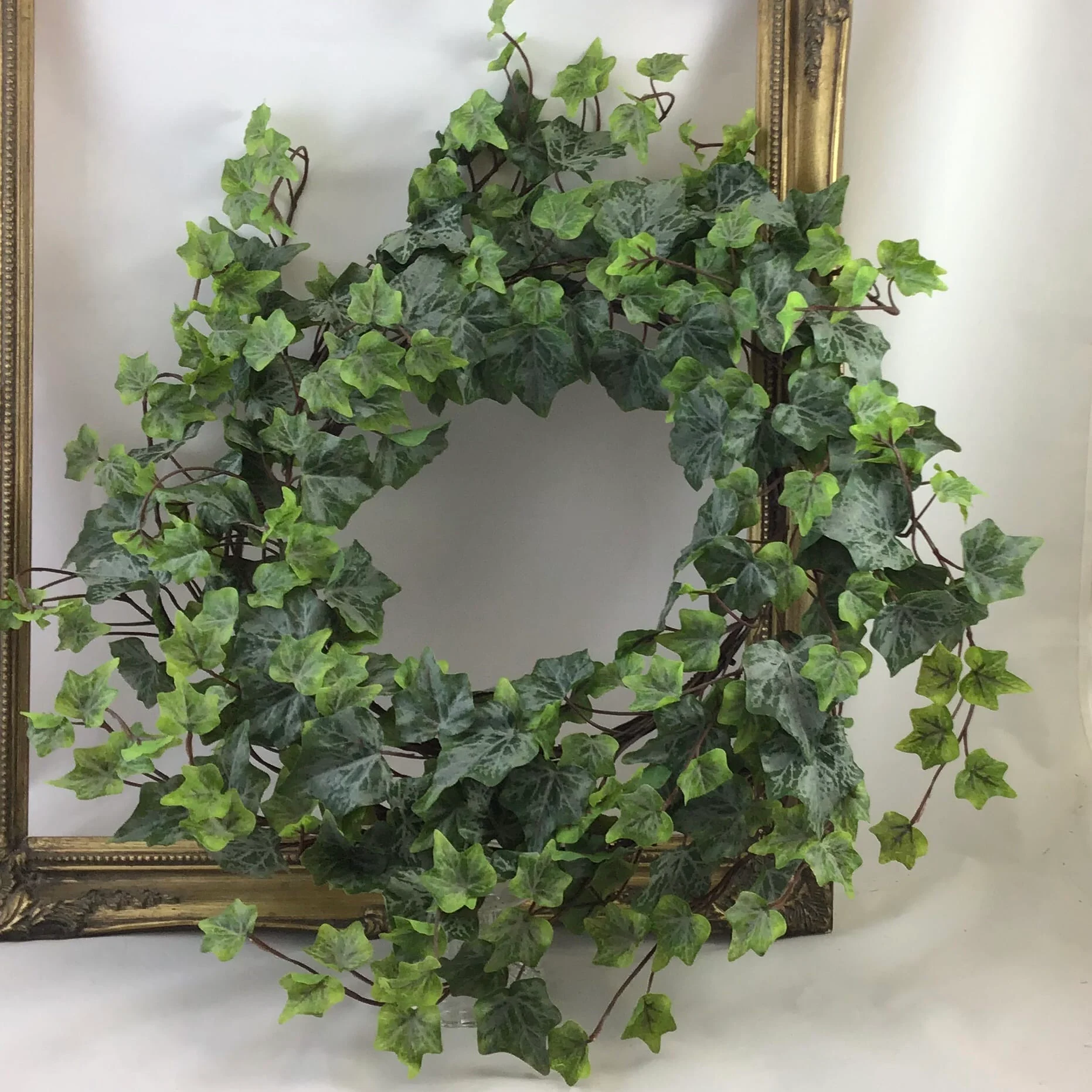 Images Village Green Wholesale Ltd