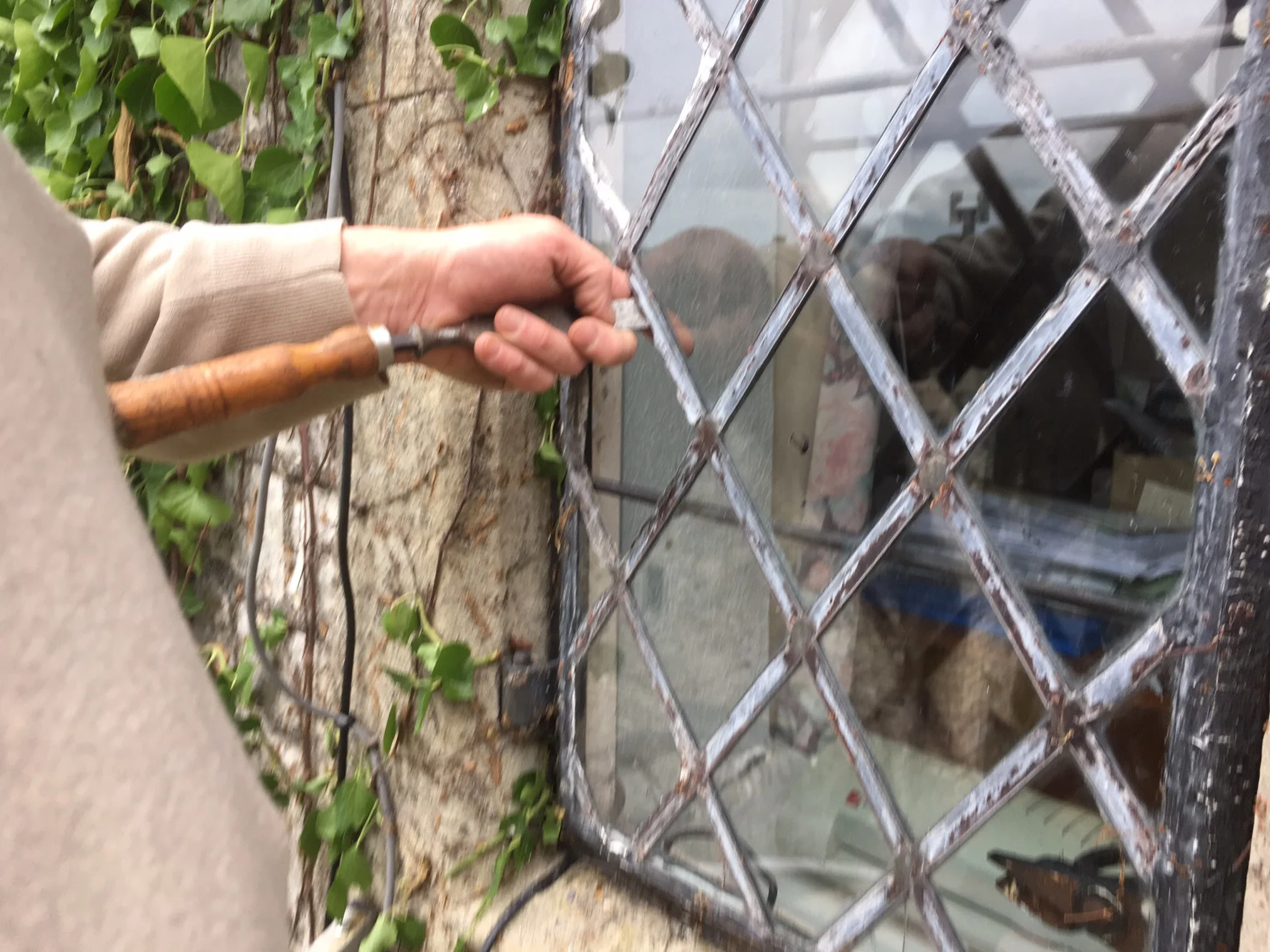 Images Gareth Shallcross