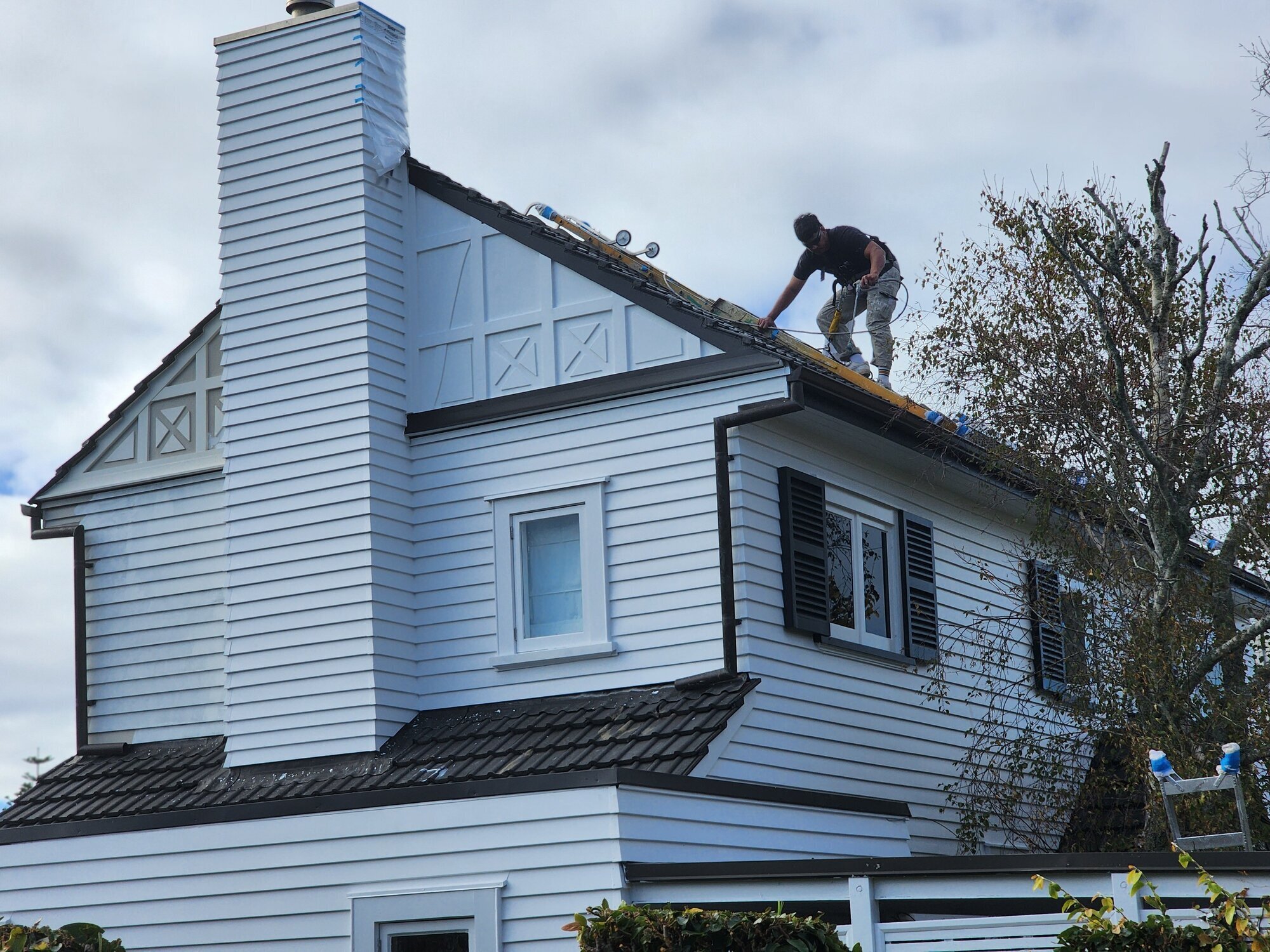 Images Tropical Painters & Decorators