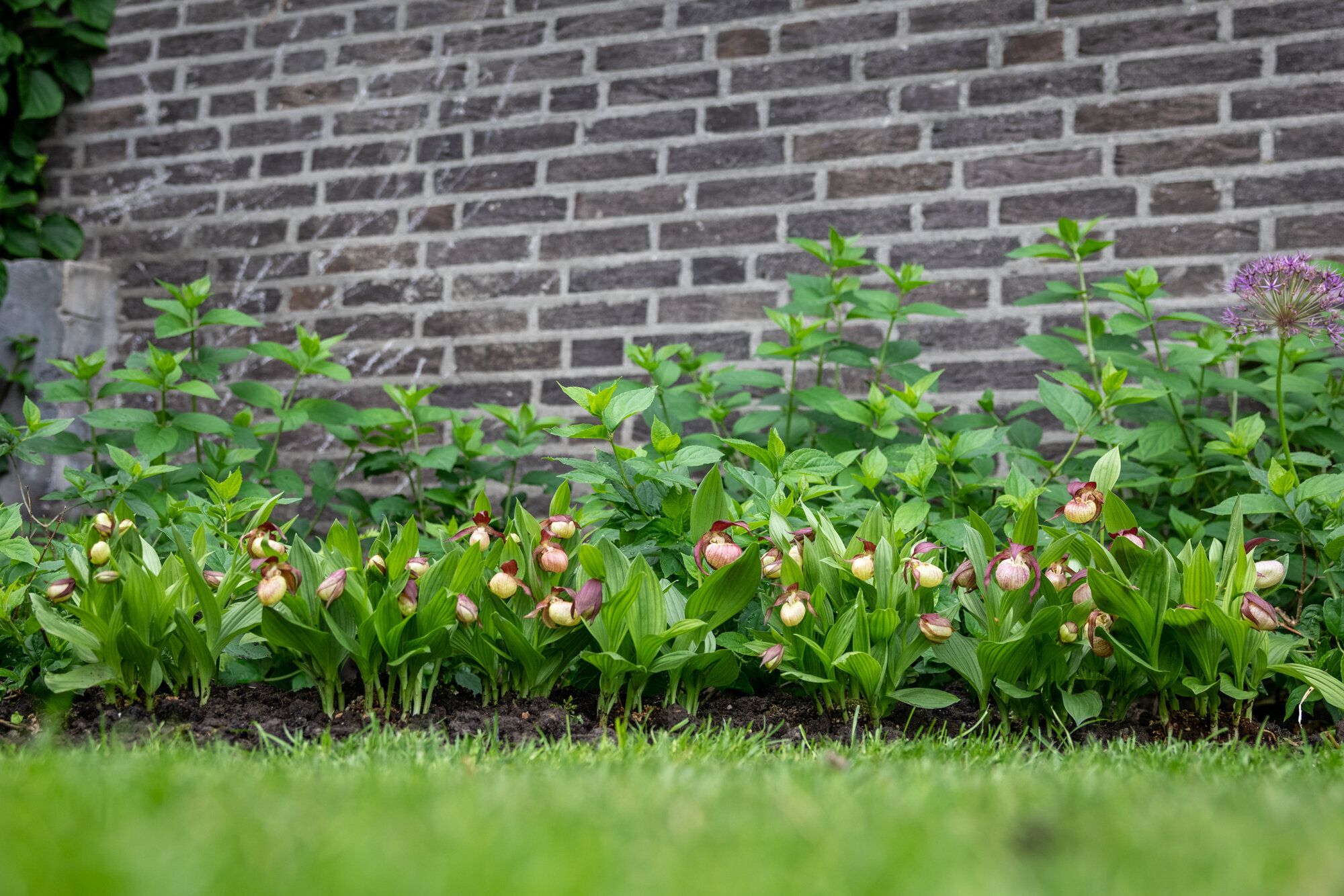 Bilder Gartenwerkstatt Schreiner, Inhaberin Sabine Schreiner