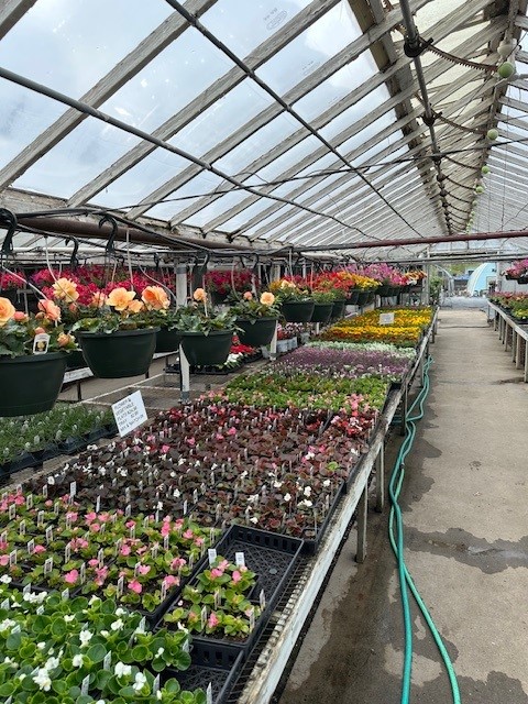 Images Puritas Nursery & Garden Center