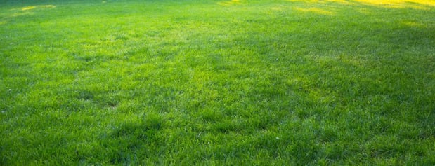 Images Linex Property Care
