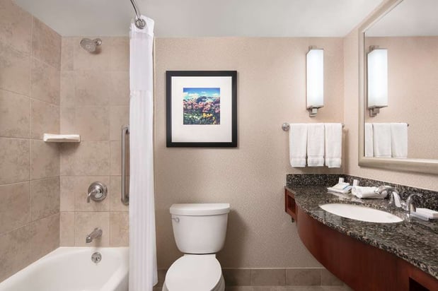Images Hilton Garden Inn Denver Downtown