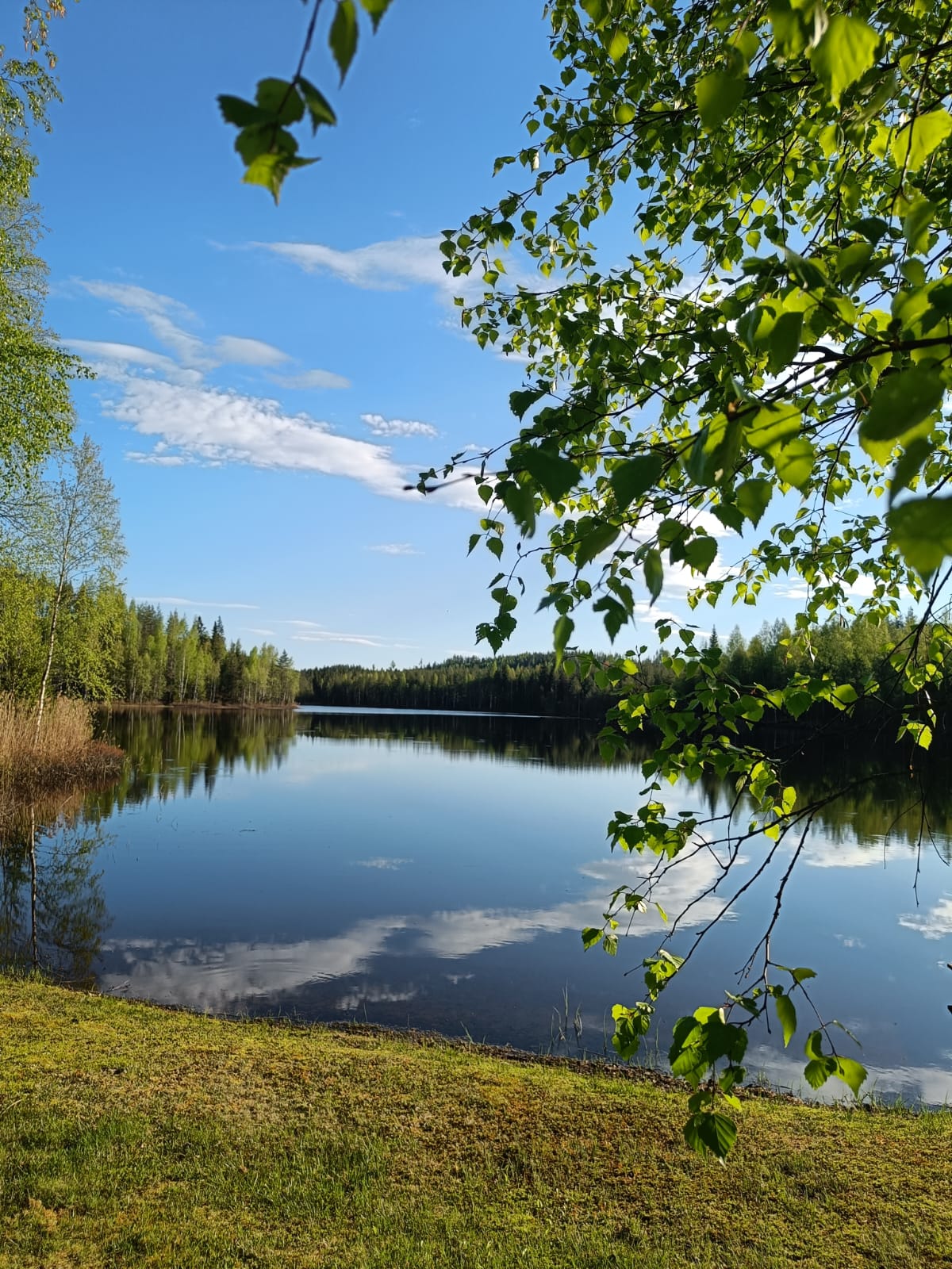 Images Muhosen lomamökit