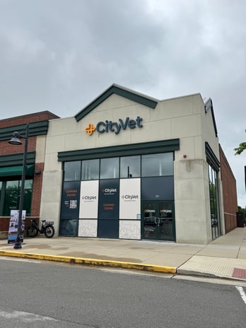 Images CityVet | Carmel