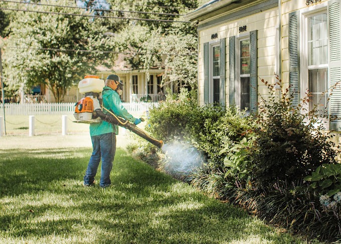 Images Critter Gitters Pest Management