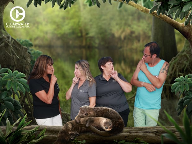 Images NextHome Beach Time Realty