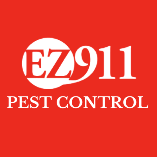 EZ 911