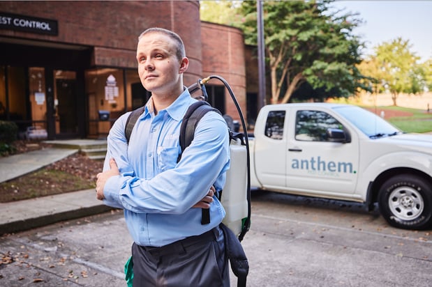 Images Anthem Pest Control
