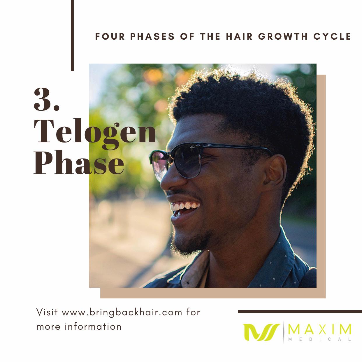 3. Telogen Phase
The Telogen phase is where the hair follicle rests for approximately 3 months before starting the Anagen phase again. In rare circumstances, people can suffer what is known as Telogen Effluvium. This is the noticeable thinning caused by long severe daily shedding periods and a longer telogen phase. Causes for this can range from factors such as a poor diet, stress, deficiencies in vitamins and minerals, or a combination of all of the above. However, usually after three months, the Exogen Phase will start.