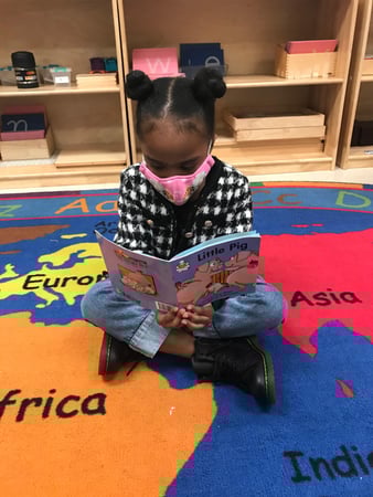 Images Teeter Toddler