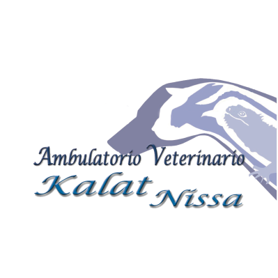 Veterinario Dr. Stefania Turco Ambulatorio Kalat Nissa Logo