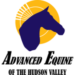 Advanced Equine of the Hudson Valley Logo