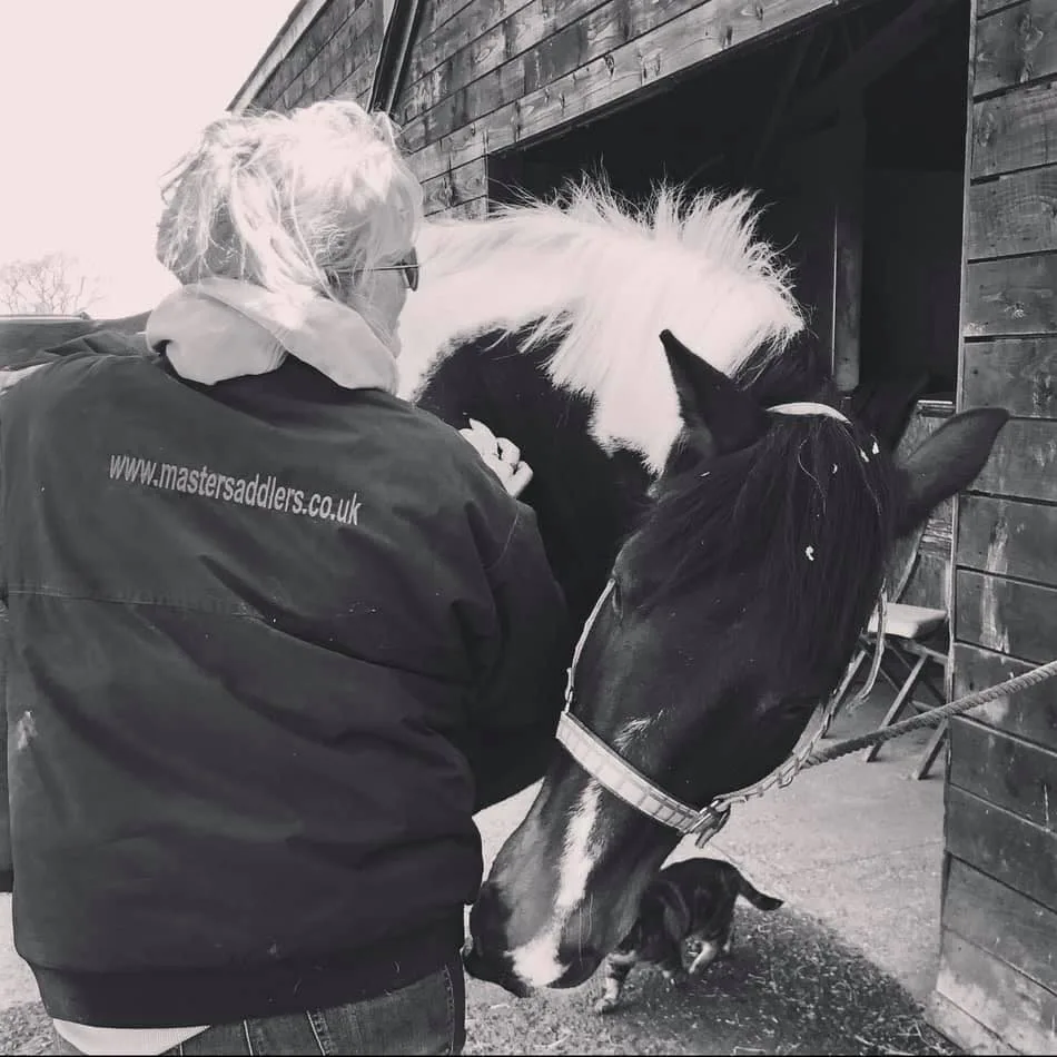 Images Mayfield Saddlery