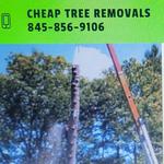 Cheap Tree Removals Logo