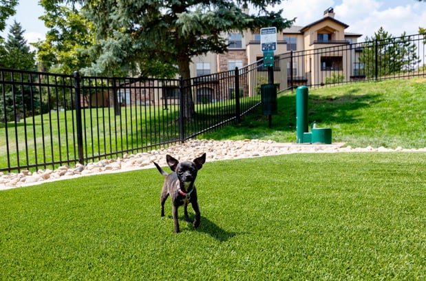 Images Camden Denver West Apartments