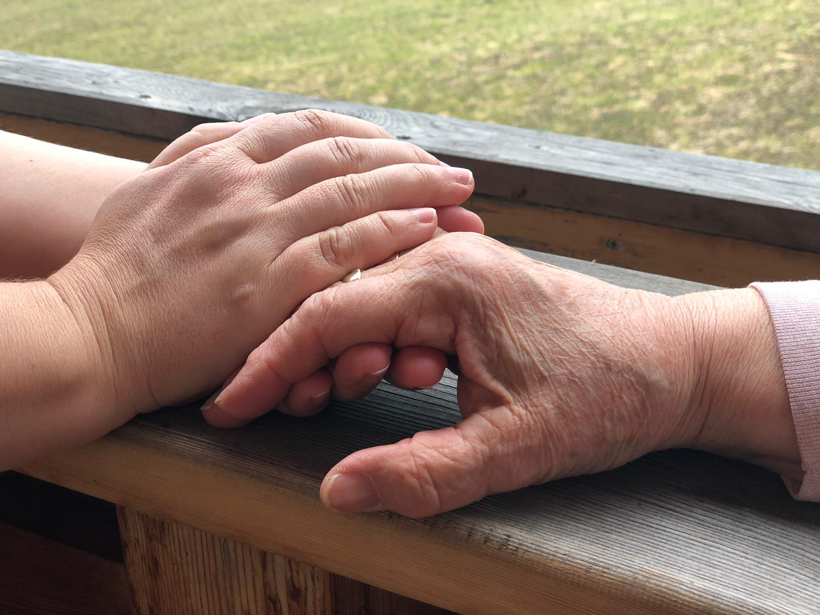 Seniorendienste & Alltagsbegleitung LebensZeiten, An den Kastanien  3 in Klipphausen