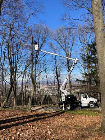 Images Friendly Tree Service Inc