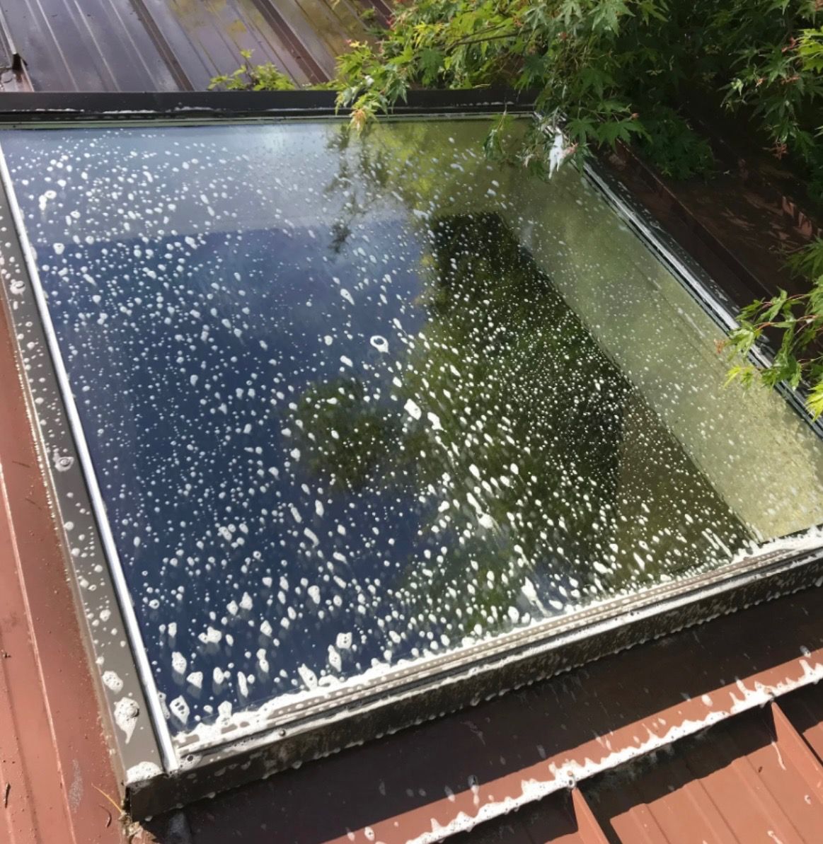 New Wave Property Services Image