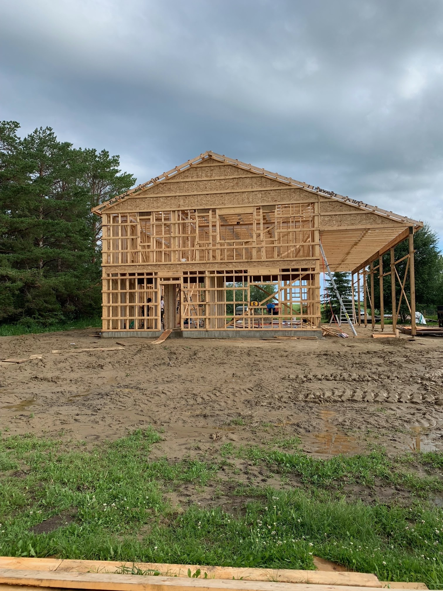 Images The Blue Spruce Builder