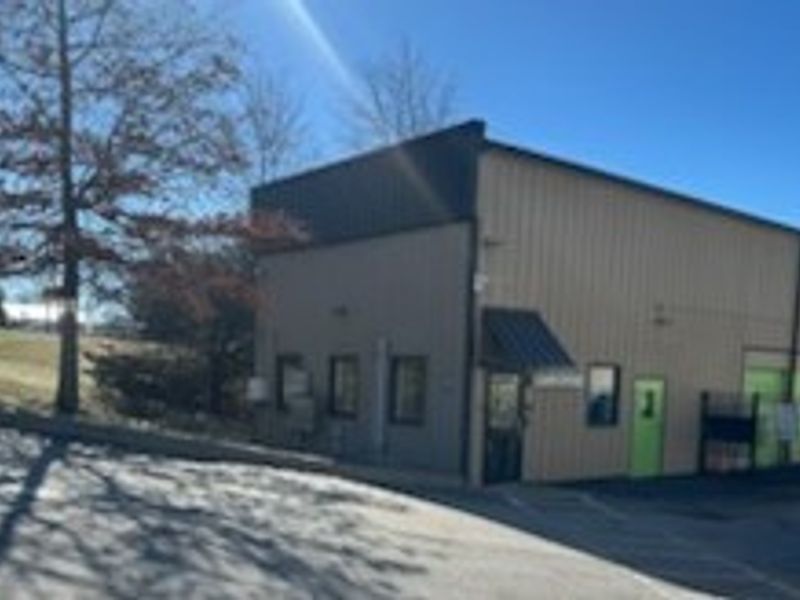 Alternate Beauty Image