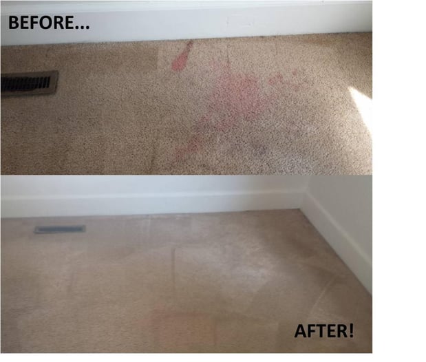 Images Jake's 5 Star Carpet & Upholstery Cleaning